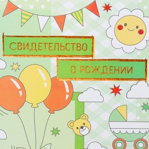 Папка для свидетельства о рождении, А4 «Воздушные шары»