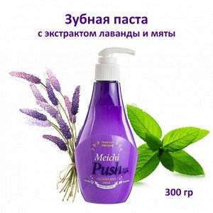 Травяная зубная паста с экстрактом лаванды и мяты Hanil Meichi Push (VIOLET)