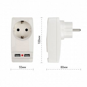 SP-1e-USB-W  ЭРА Адаптер "Polinom" 1гн 220V + 2xUSB 2100mA, c заземл (белый) (10/60/1440), шт