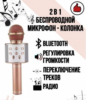 Караоке Микрофон WS-858