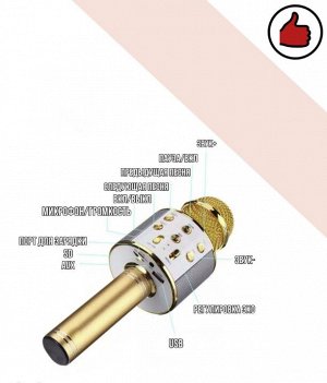 Пой, танцуй, развлекайся! Беспроводной караоке микрофон, колонка Bluetooth со встроенным динамиком, 4 голосовых фильтра, слот USB, порт для Micro CD