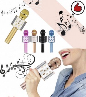 Пой, танцуй, развлекайся! Беспроводной караоке микрофон, колонка Bluetooth со встроенным динамиком, 4 голосовых фильтра, слот USB, порт для Micro CD