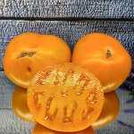 Томат Brandywine Yellow “TradeWindsFruit”