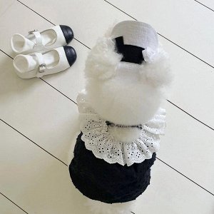 Платье для собак с воротничком, цвет черный/белый