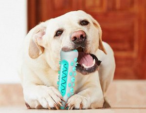 Игрушка для собак, "палочка для чистки зубов", цвет голубой