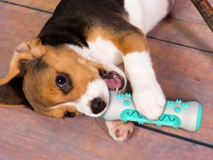 Игрушка для собак, "палочка для чистки зубов", цвет голубой