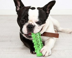 Игрушка для собак "жевательная палочка", цвет зеленый