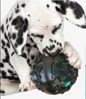 Игрушка для собак "мяч", цвет черный/бирюзовый