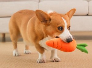 Игрушка для животных, "морковь"