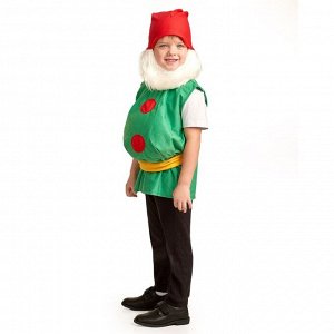 Карнавальный костюм «Гном», 5-7 лет, рост 122-134 см