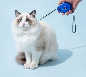 Автоматический выдвижной поводок для кошек и маленьких собак, цвет синий