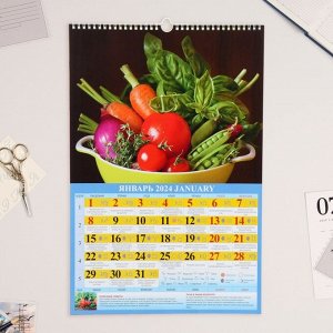 Календарь перекидной на ригеле "Садово-огородный лунный календарь" 2024 год, А3