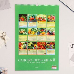 Календарь перекидной на ригеле "Садово-огородный лунный календарь" 2024 год, А3