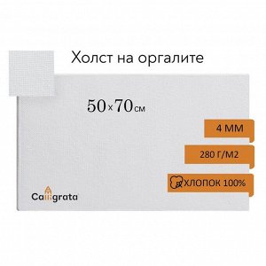 Холст на оргалите 4 мм, 50x70 см, хлопок 100%, акриловый грунт
