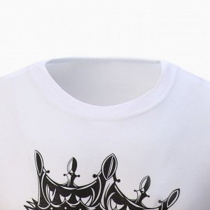 Футболка мужская KAFTAN «Лев».