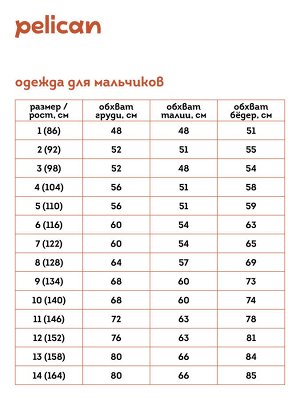 BFJH7019U джемпер для мальчиков