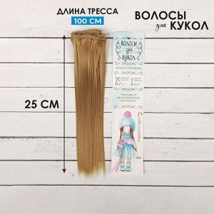 Волосы - тресс для кукол «Прямые» длина волос: 25 см, ширина:100 см, цвет № 22Т