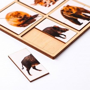 Картинки-половинки «Лесные животные»