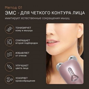 Жезатон Прибор для ухода за кожей Biolift m100(S) (Gezatone, Массажеры для лица)