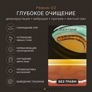Жезатон Гезатон Микротоковый массажер для лица Clean&Beauty Pro m780, Gezatone (Gezatone, Очищение и пилинг лица)
