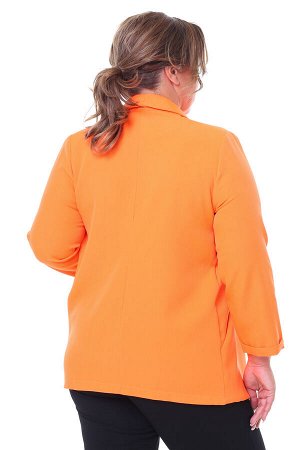 Жакет-3353 Фасон: Жакет; Материал: Креп; Цвет: Оранжевый; Длина рукава: 3/4 рукав; Параметры модели: Рост 173 см, Размер 54
Жакет с отложным воротом оранжевый
Женственный пиджак прямого кроя. Выполне