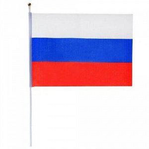 Флаг Россия 20*30 см (с древком)