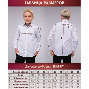 Размерная сетка