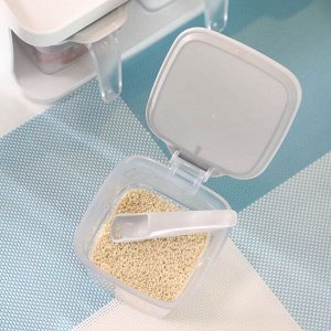 Набор контейнеров для специй Xiaomi Quange Seasonings Box CF010101L