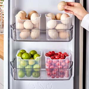 Контейнер для продуктов "Frosty Organizer"