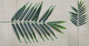 Лист пальмы, 55 см.  Искусственное растение