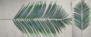 Лист пальмы, 100 см.  Искусственное растение