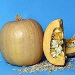 тыква Gourd Lady&#039;s Nail