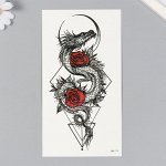 Татуировка на тело чёрная, цветная &quot;Дракон, розы и геометрия&quot; 11,4х21 см