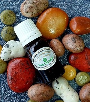 Эвкалипт 100% водорастворимое эфирное масло Eucalyptus Globulus, 10 мл