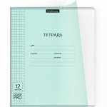 TE 12/5 56346 Er.Kr. Тетрадь &quot;CoverPrо Pastel&quot; пласт. обложка, клетка, мятная (1/10/280), , шт