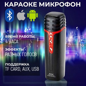 Портативная колонка-микрофон WSTER Karaoke Wireless Microphone Speaker