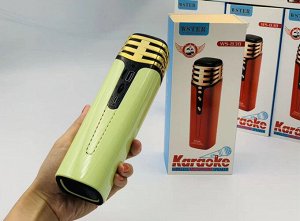 Портативная колонка-микрофон WSTER Karaoke Wireless Microphone Speaker