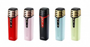 Портативная колонка-микрофон WSTER Karaoke Wireless Microphone Speaker