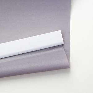 Штора рулонная «Механика», 60?180 см (с учётом креплений 3,5 см), цвет серый
