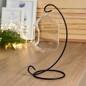 Флорариум «Цилиндр», на подвесе, 12x8 см, h=23 см, стекло, прозрачный, чёрный