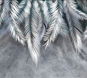 Фотообои  Листья Пальмы