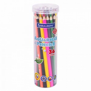 Карандаши цветные акварельные BRAUBERG PREMIUM AQUARELLE 36 цветов в тубе, трехгранные, утолщенный грифель 4 мм, натуральное дерево,181933