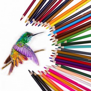 Карандаши цветные акварельные BRAUBERG PREMIUM AQUARELLE 36 цветов в тубе, трехгранные, утолщенный грифель 4 мм, натуральное дерево,181933