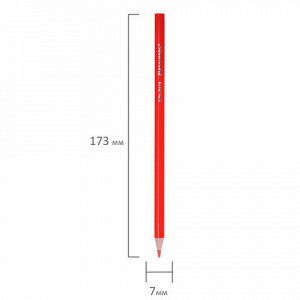 Карандаши цветные BRAUBERG PREMIUM 36 цветов в тубе, трехгранные, грифель 3,3 мм, натуральное дерево, 181934