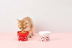 Керамическая миска для кошек и собак Xiaomi Petkit P524