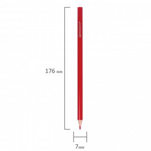 Карандаши цветные BRAUBERG PREMIUM, 12 цветов, пластиковые,шестигранные, грифель мягкий 3 мм, 181666