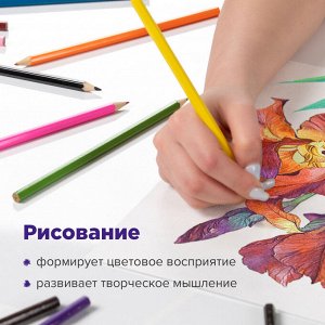 Карандаши цветные акварельные BRAUBERG "АКАДЕМИЯ", 18 цветов, шестигранные, высокое качество,181399