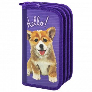 Пенал 3 отделения, ПИФАГОР, ламинированный картон, Little Dog, 19х11 см, 229214