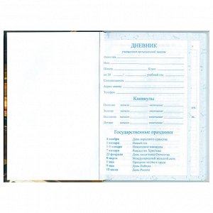Дневник для музыкальной школы 48л твердый, BRAUBERG, Концерт, 103279
