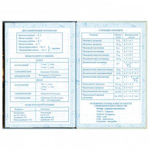 Дневник для музыкальной школы 48л твердый, BRAUBERG, Концерт, 103279
